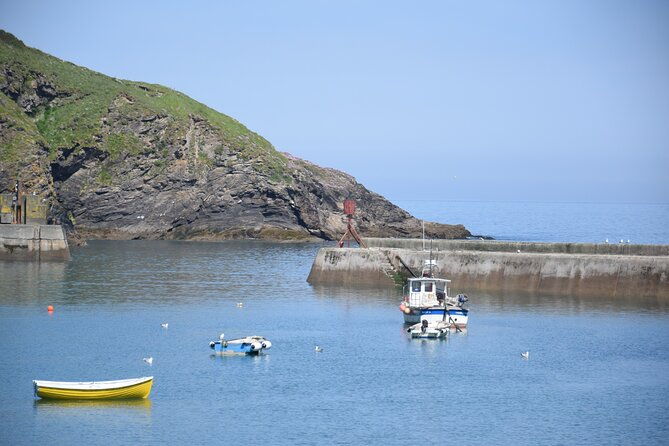 half-day-private-doc-martin-and-fishermans-friends-tour