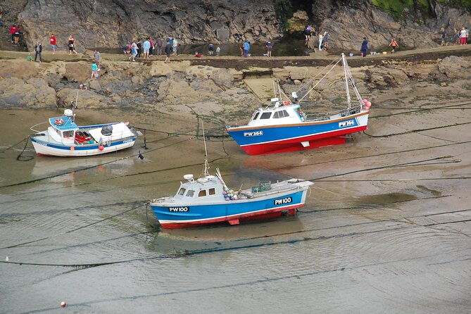 half-day-private-doc-martin-and-fishermans-friends-tour