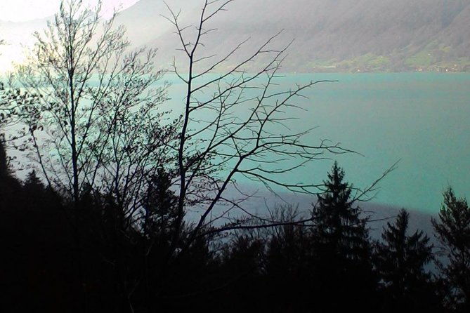 half-day-private-giessbach-falls-and-lake-brienz-from-interlaken