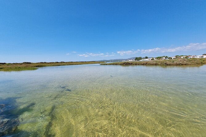 half-day-private-guided-kayak-island-tour-2