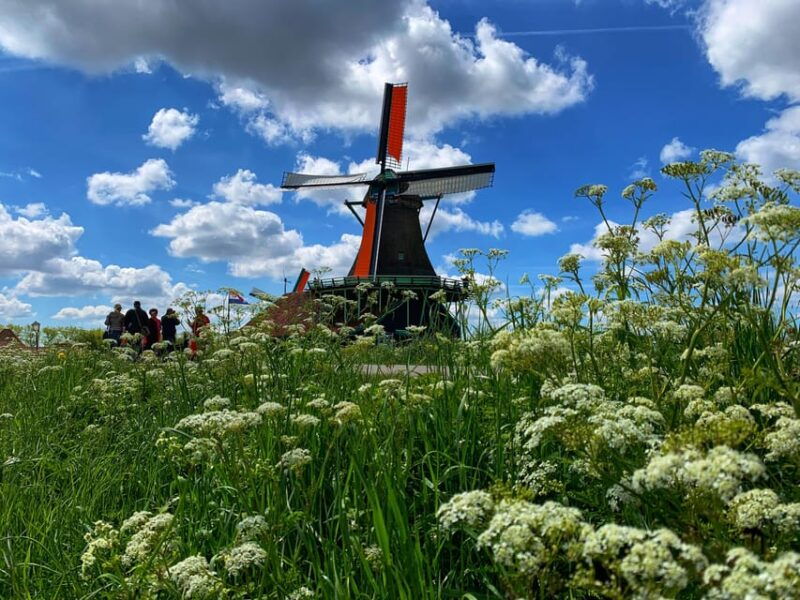 half-day-private-guided-sightseeing-tour-of-zaanse-schans-2