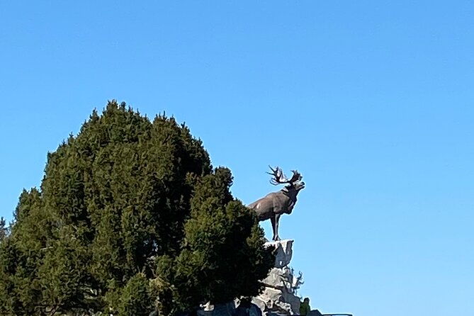 half-day-private-guided-tour-battlefields-of-the-somme