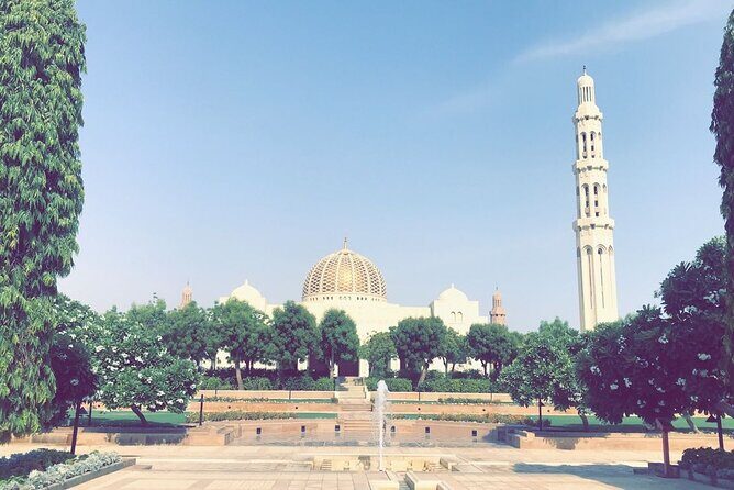 Half day Private Guided Tour in Muscat with Pickup - The Sum Up