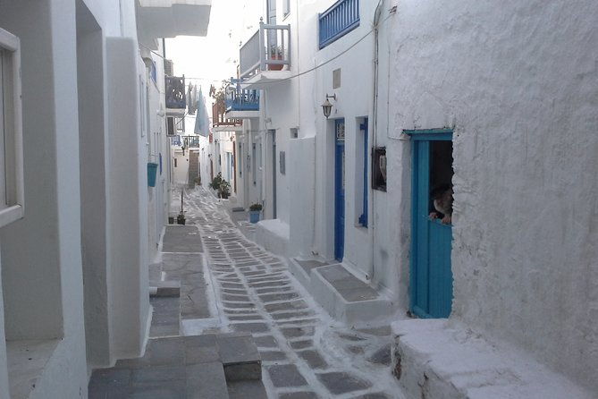 half-day-private-guided-tour-in-mykonos