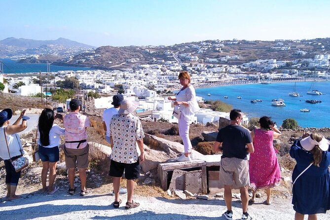 half-day-private-guided-tour-in-mykonos-up-to-6