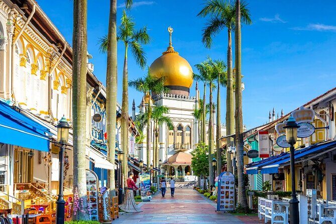 Half Day Private Guided Tour through Singapore's Iconic Landmarks - Dive Into Each Landmark: What to Expect