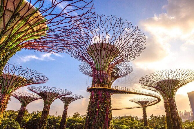 Half Day Private Guided Tour through Singapore's Iconic Landmarks - Reviews & Real Traveler Insights