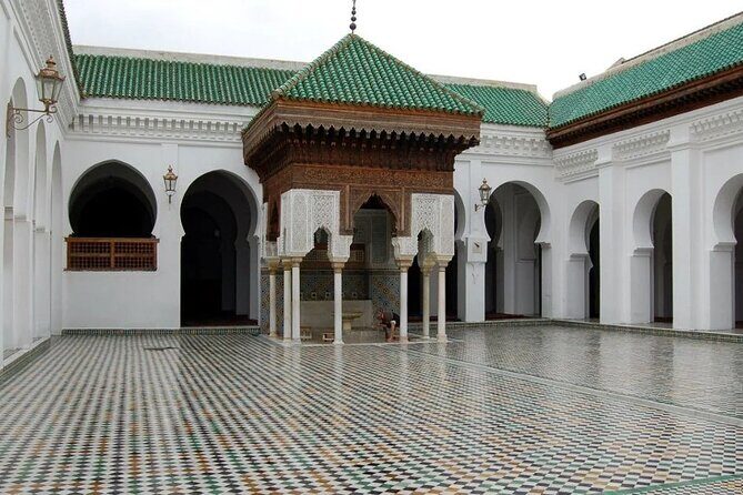 Half-Day Private Guided Walking Tour in Fez Medina - An In-Depth Look at the Tour Experience