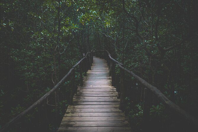 Half-Day Private Jozani Chwaka Bay Forest Tour in Zanzibar - Authentic Insights from Reviews