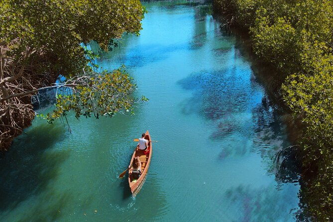 half-day-private-los-haitises-caves-and-mangroves-canoe-tour