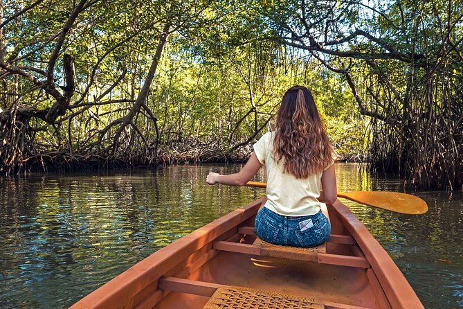 half-day-private-los-haitises-caves-and-mangroves-canoe-tour