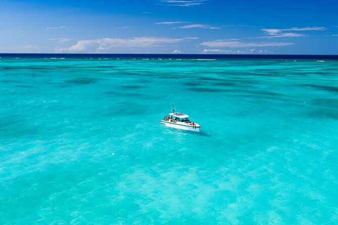 half-day-private-luxury-axopar-charter-in-turks-caicos