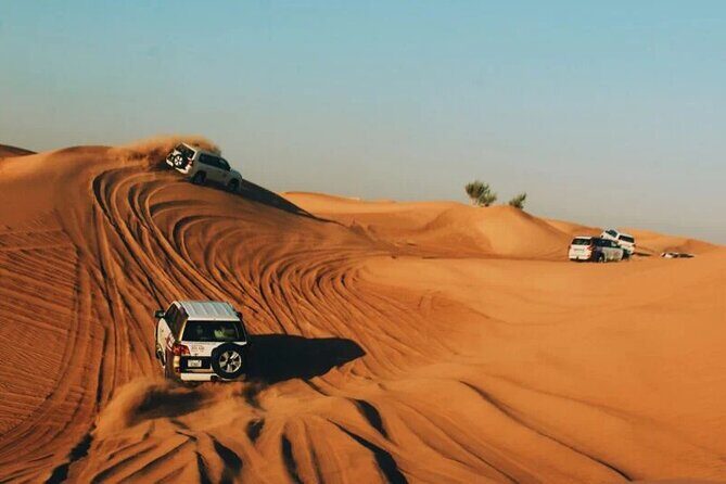 Half-Day Private Morning Desert Safari by 4x4 Car - Key Points  