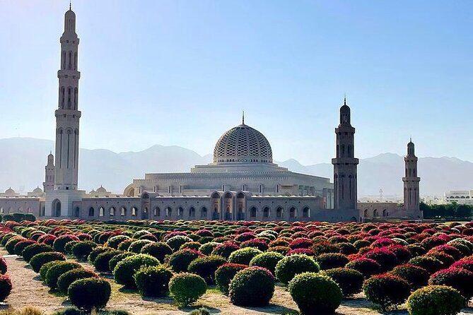 Half Day Private Muscat City Afternoon Tour - A Closer Look at the Itinerary