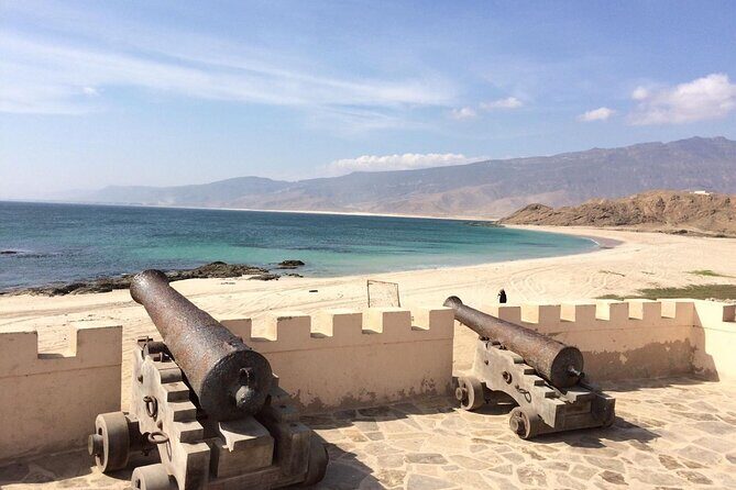 Half Day Private Muscat City Afternoon Tour - Who Is This Tour Perfect For?