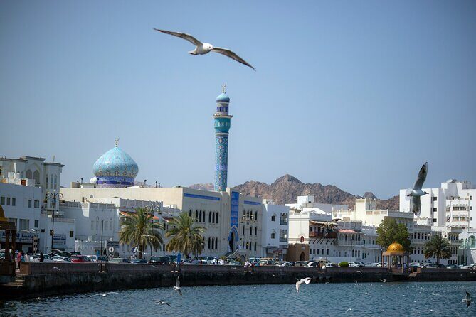 Half-Day Private Muscat City Tour 4 Hours - Final Thoughts