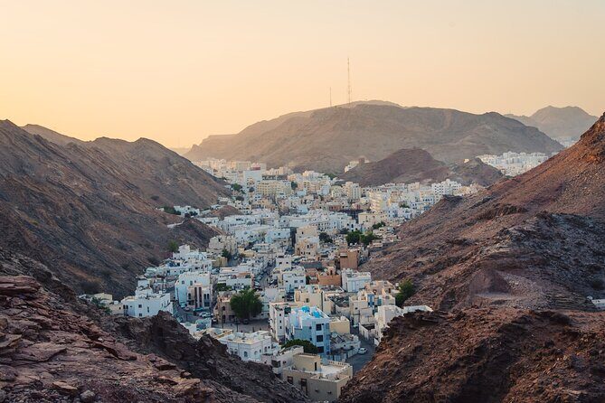 Half-Day Private Muscat City Tour- with a local guide - Who Should Consider This Tour?