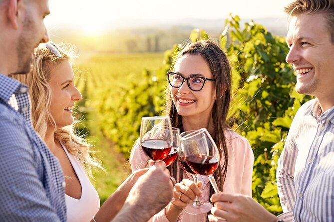 half-day-private-niagara-county-wine-tour-experience