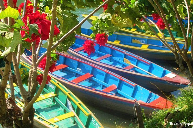 Half-Day Private Pokhara Tour - Who Is This Tour Best For?