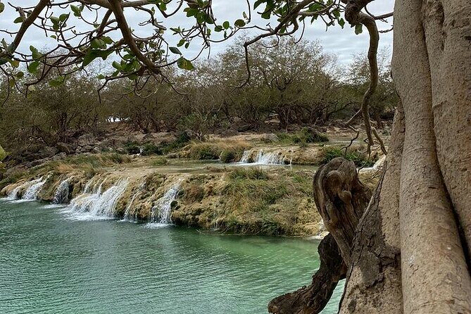 Half-Day Private Salalah East Tour - Key Points