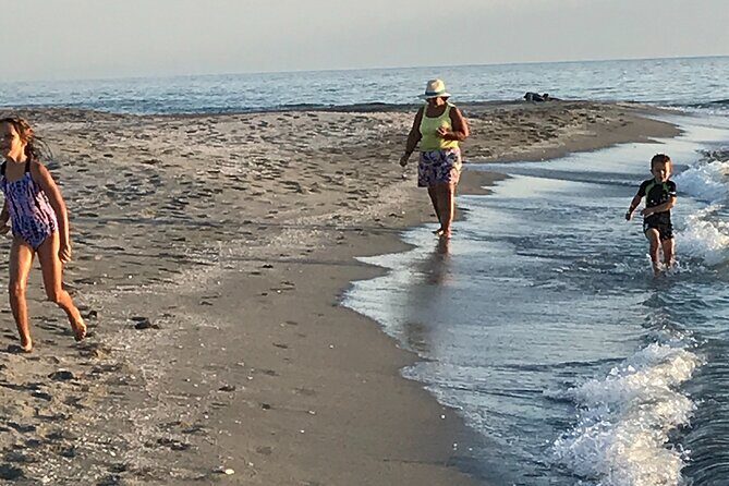 Half-Day Private Sarasota Charter Tour with Wildlife Watching - Itinerary Breakdown: What You Can Expect