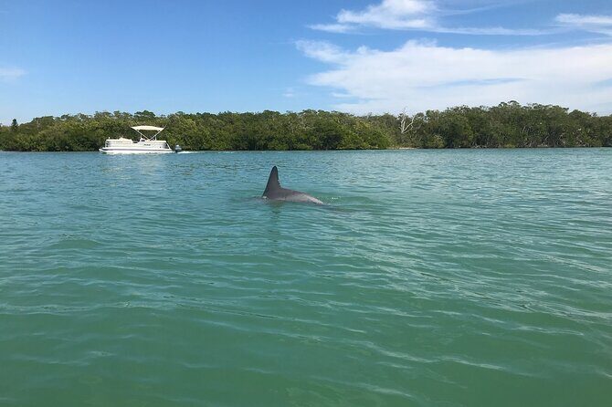 Half-Day Private Sarasota Charter Tour with Wildlife Watching - Frequently Asked Questions