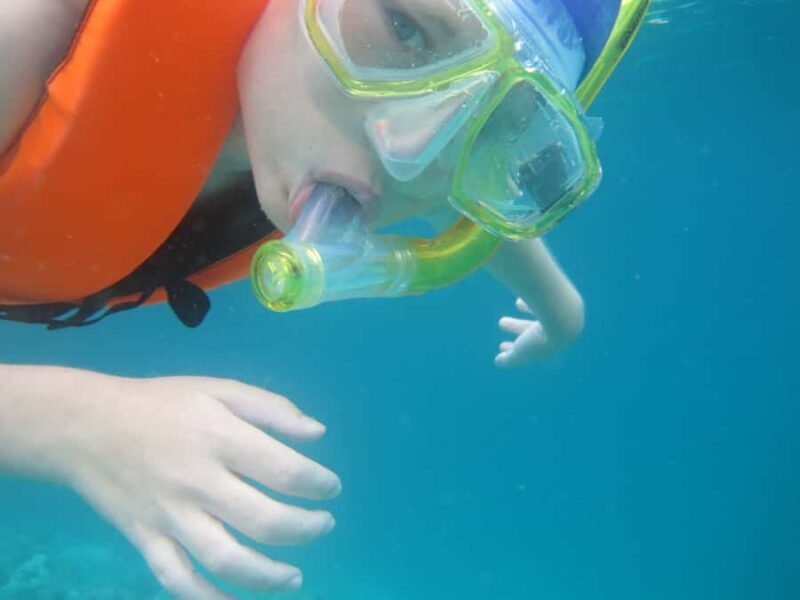 Half-Day private Snorkeling Adventure on a Speedboat - Who Is This Tour Best For?