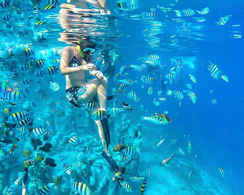 Half Day Private Snorkeling Swim With Turtles Free Gopro - An In-Depth Look at the Snorkeling Tour in Gili Islands