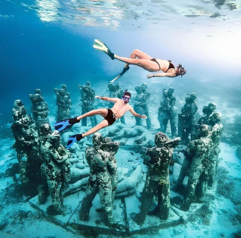 Half Day Private Snorkeling Swim With Turtles Free Gopro - Who Will Love This Snorkeling Tour?