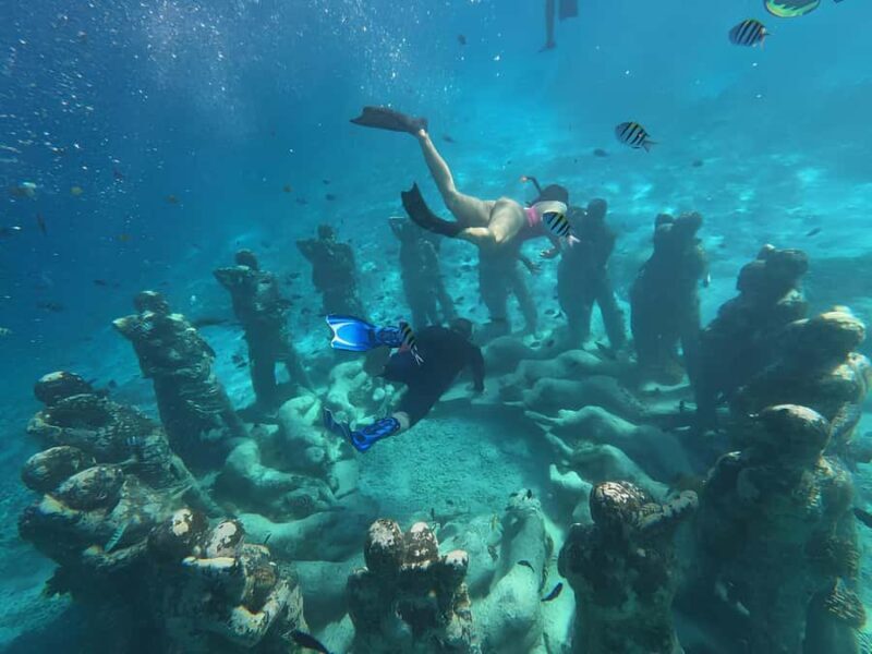 Half Day Private Snorkeling Swim With Turtles Free Gopro - Final Thoughts: Is This Tour Worth It?