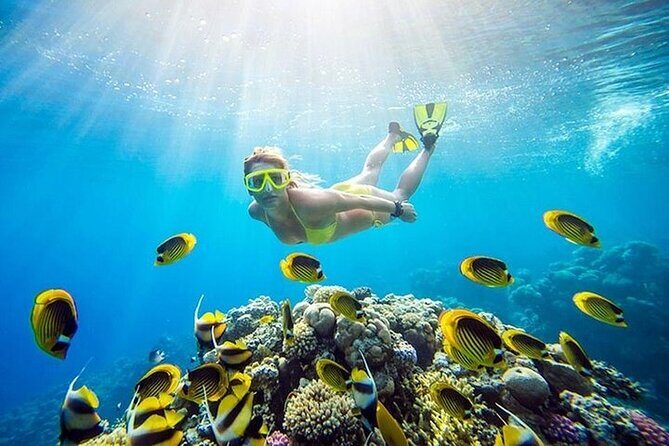 Half Day Private Speedboat Dolphin House & Giftun Island_Hurghada - The Sum Up