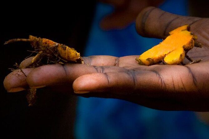 Half-day Private Spice Farm In Zanzibar With City Tour - Who Should Consider This Tour?