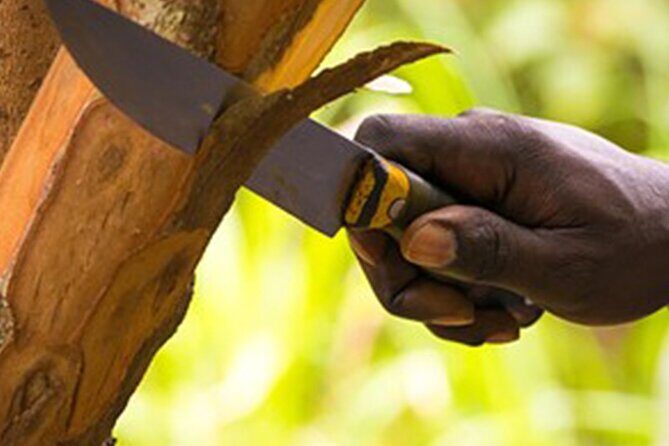 Half-day Private Spice Farm In Zanzibar With City Tour - FAQ