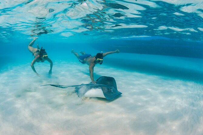 half-day-private-stingray-city-charter-grand-cayman-btc