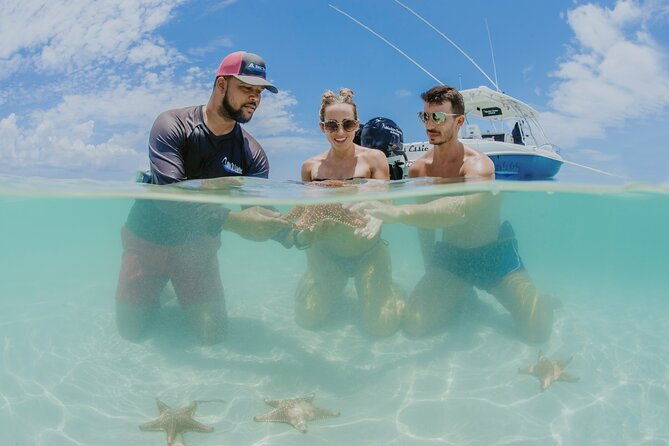 half-day-private-stingray-city-charter-grand-cayman-btc