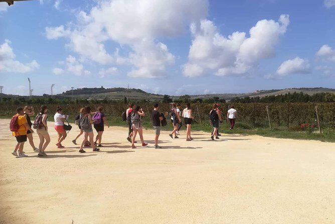 Half Day Private Tour Around Malta - FAQ Section