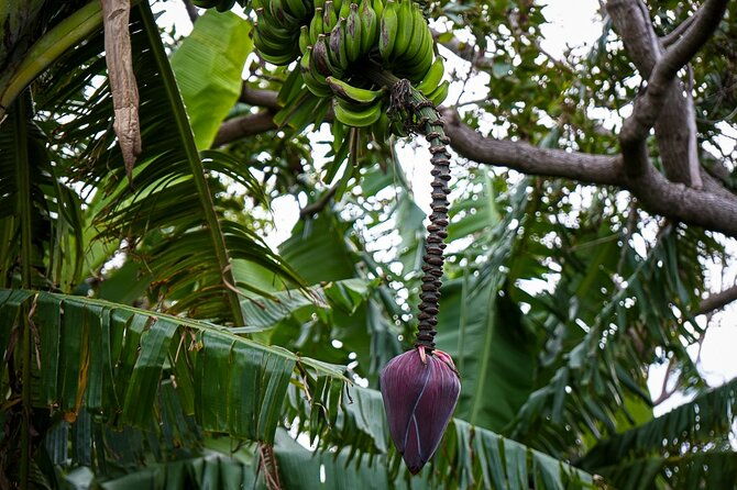 half-day-private-tour-caves-and-volcanic-refuges