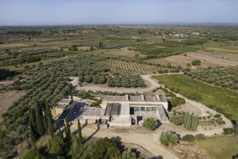 half-day-private-tour-from-katakolo-port-to-ancient-ilis