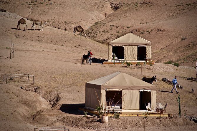 Half-Day Private Tour in Agafay Desert with Dinner - FAQ