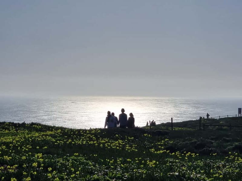 Half-day private tour in Lisbon viewpoints, Alfama & Belém - Key Points