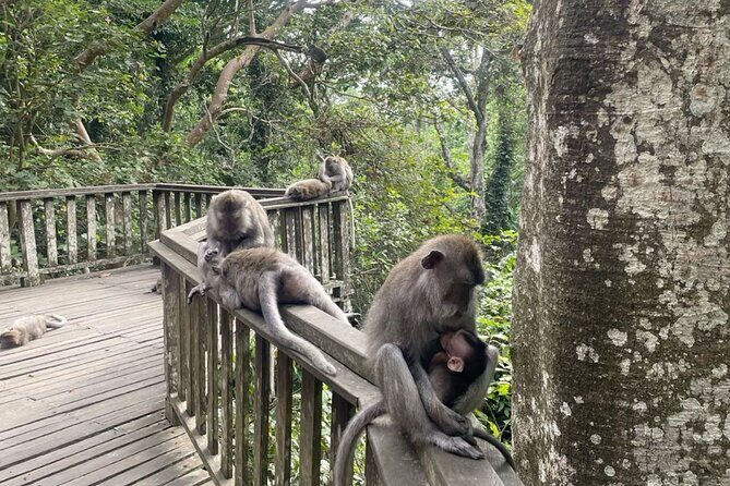 Half Day Private Tour in Ubud - FAQs