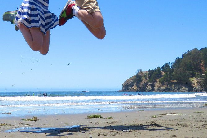 half-day-private-tour-of-alcatraz-muir-woods-sausalito