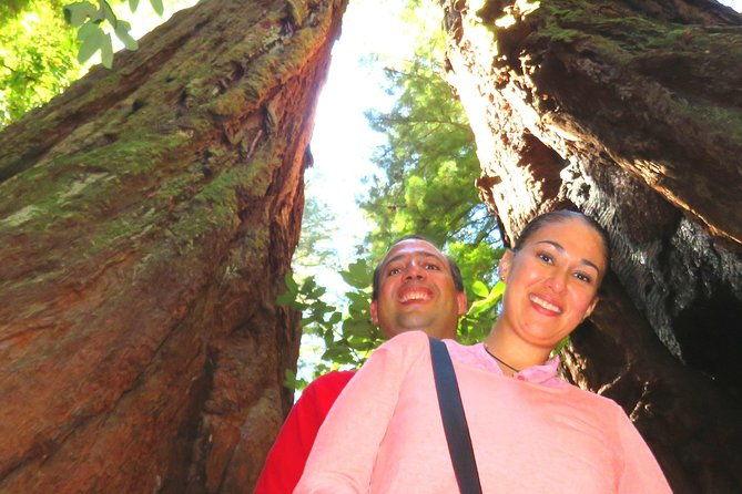 half-day-private-tour-of-alcatraz-muir-woods-sausalito