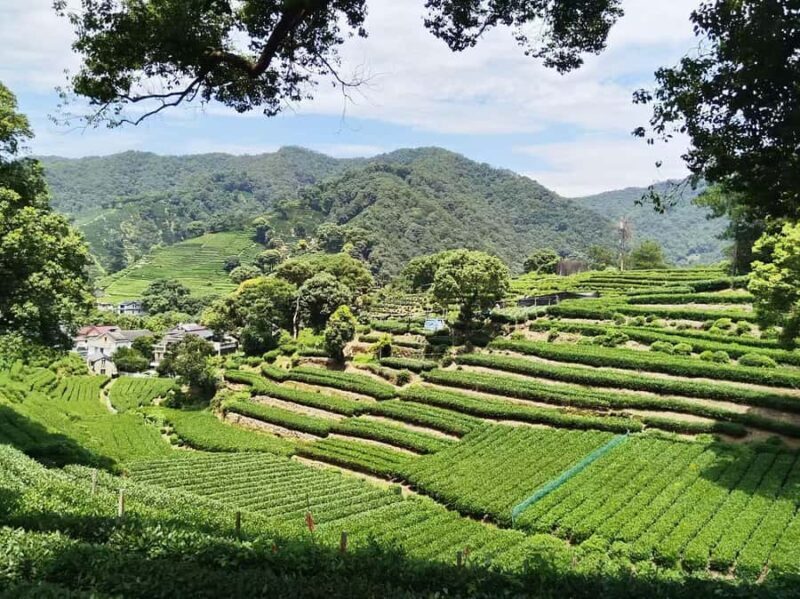 Half Day Private Tour of Jingci Temple and West Lake - Final Thoughts: Who Will Love This Tour?