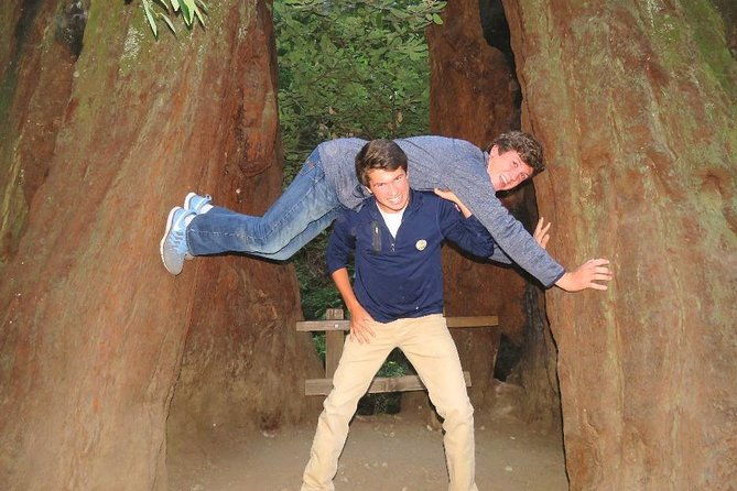 half-day-private-tour-of-muir-woods-sausalito-from-san-francisco