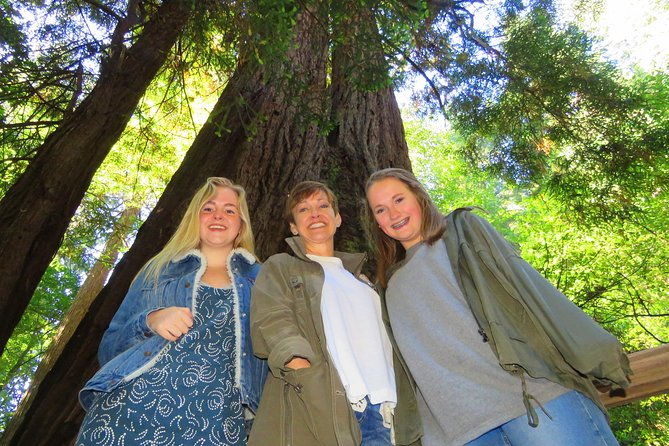 half-day-private-tour-of-muir-woods-sausalito-from-san-francisco