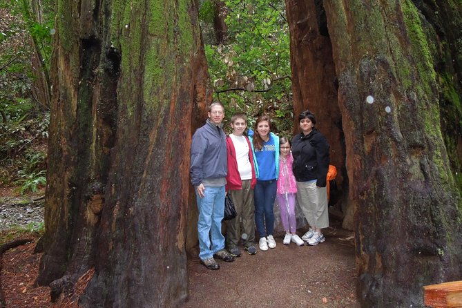 half-day-private-tour-of-muir-woods-sausalito-from-san-francisco