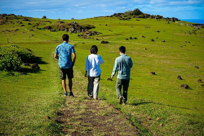 half-day-private-tour-rano-kau-and-orongo-the-city-of-kings