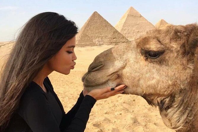 Half Day Private Tour to Giza Pyramids Sphinx - Key Points