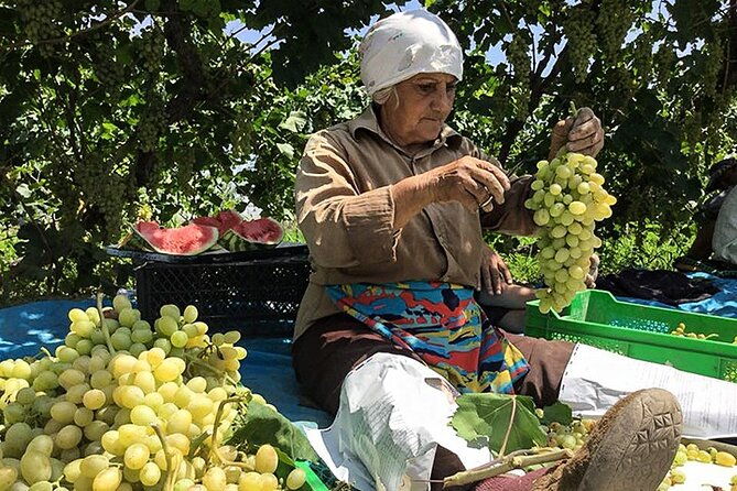 half-day-private-tour-to-khor-virap